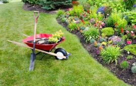 Image of Garden