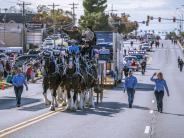 Express Clydesdales