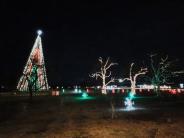 Dancing Trees at HLS