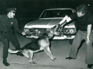 k9 Training