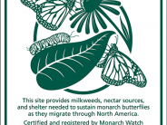 Certify your rain garden as butterfly habitat
