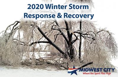 Photo of trees with broken branches