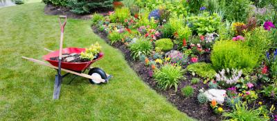 Image of Garden