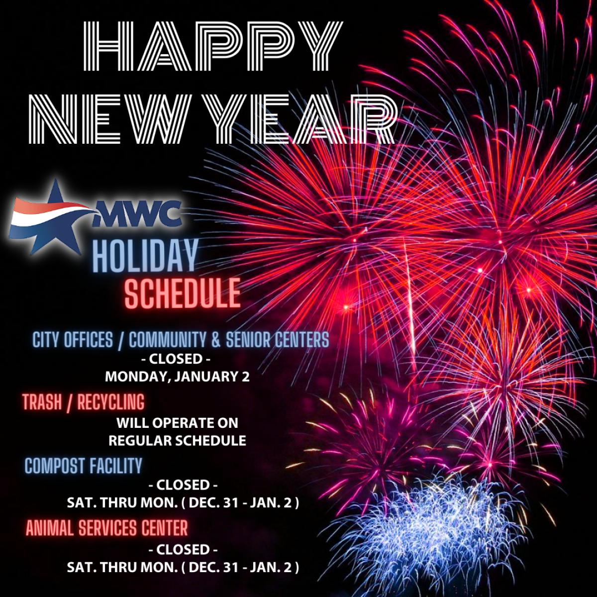 New Year's Holiday Infographic